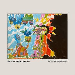 A Cast of Thousands You Can't Fight Spring album cover