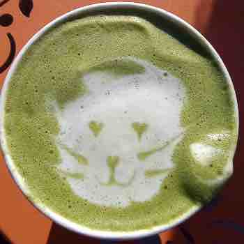 Ninjamaal cover picture