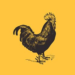 background for The Whiskey Coop